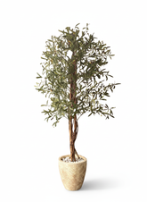 Artificial Heritage Olive Tree Decor - 210cm (7ft)